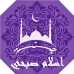 القارئ اسلام صبحي android application logo